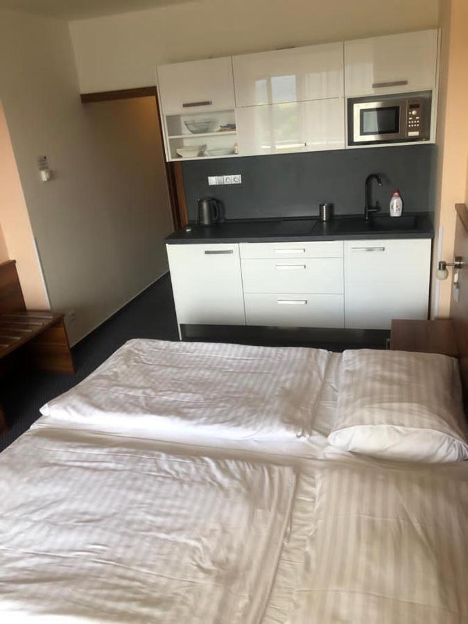 Apartmany Wellness Frymburk Exterior photo